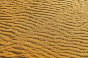 Sand Dünen Textur foto