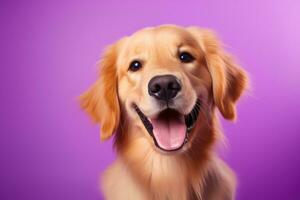 ai generiert ein Nahansicht Porträt von ein golden Retriever Hündchen auf ein lila Hintergrund foto