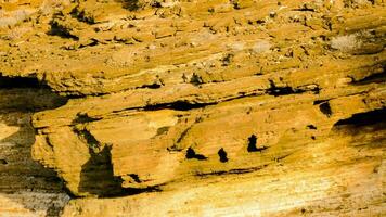 ein Felsen Formation Textur foto