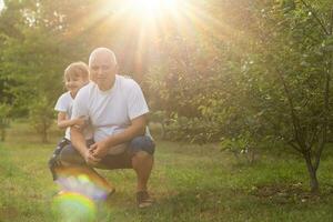 Porträt von Großvater mit Enkelin entspannend zusammen im das Garten foto