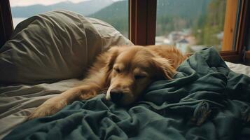 ai generiert generativ ai, süß Hund Schlafen auf gemütlich warm Decke in der Nähe von das Fenster, Hygge Stil foto