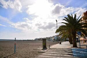 ein Strand mit Palme Bäume foto