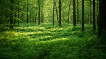 ai generiert beschreiben das subtil Variationen im Schatten von Grün während anders Jahreszeiten, betonen das Überleitung von Frühling zu Sommer- im ein gemäßigt Wald. foto