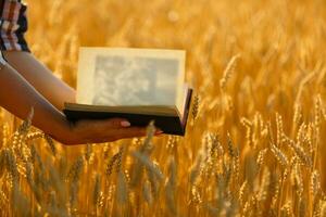 Christian Frau beten auf heilig Bibel und hölzern Kreuz im Gerste Feld auf Sommer. Frau beten zum Gott Segen zu wünsche haben ein besser Leben und glauben im Güte. foto