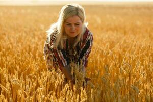 Frau im ein Weizen Feld auf das Hintergrund von das Rahmen Sonne foto