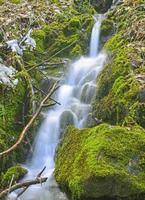 tanzende Wasser in der Wildnis foto