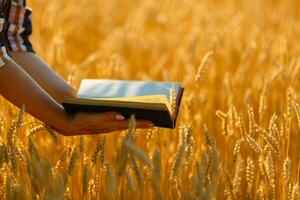 Christian Frau beten auf heilig Bibel und hölzern Kreuz im Gerste Feld auf Sommer. Frau beten zum Gott Segen zu wünsche haben ein besser Leben und glauben im Güte. foto