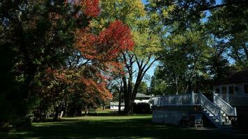 das schön Herbst Aussicht mit das bunt Bäume und Blätter im das Park foto