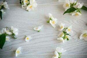 schön hölzern Hintergrund mit Blumen von Weiß Blühen Jasmin foto