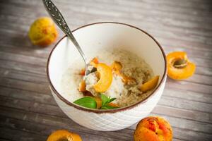 gesund Frühstück von Aprikose Haferflocken mit frisch Obst foto
