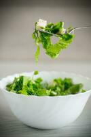 frisch Grün Grüner Salat Salat mit Mozzarella und Kräuter auf ein Gabel foto