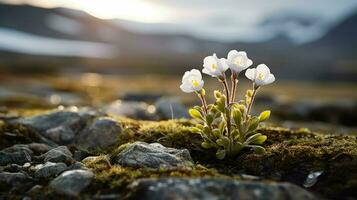 ai generiert riesig Tundra Landschaft schließen foto