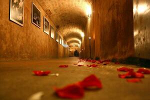romantisch Tunnel mit Blütenblätter verstreut foto