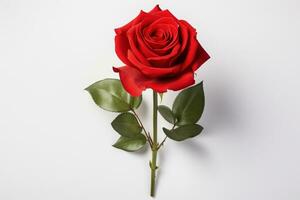 ai generiert einsam rot Rose ruhen auf ein makellos Weiß Oberfläche foto