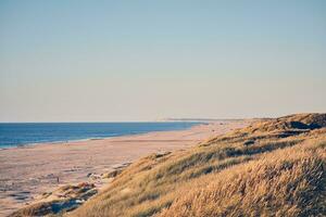 Strand beim das jammerbugt im nördlicher Jütland im Dänemark foto