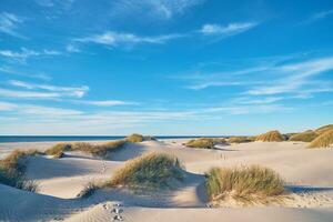 breit Sand Strand im Nord Dänemark foto