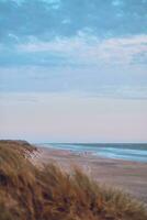 sandig Strand beim das dänisch Norden Meer Küste foto