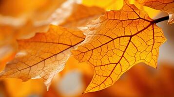 ai generiert Blatt, Blatt Textur, Nahansicht Winkel, Makro Linse foto