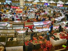 Chorsu Markt ist ein kreisförmig Innen- carsi bedeckt Markt, Verkauf Pferd Fleisch foto