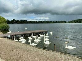 ein Aussicht von ellesmere See im das früh Morgen foto