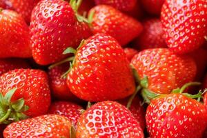 frisch organisch rot Erdbeere Obst Hintergrund foto