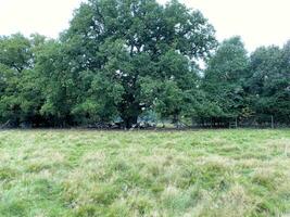 ein blick auf die landschaft von shropshire in der nähe von shrewsbury foto