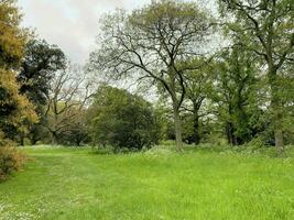 ein Aussicht von ein Park im London auf ein wolkig Tag foto