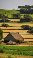 ai generiert seelenvoll Gelassenheit ein Blick in afrikanisch ländlich Pracht foto
