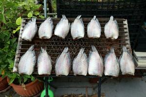 getrocknet Fisch auf das Grill im das Markt, Thailand. foto