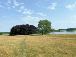 ein Aussicht von das Cheshire Landschaft im das Sommer- in der Nähe von Knutsford foto