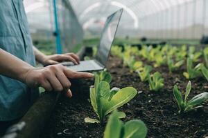 asiatisch Frau Farmer mit Digital Tablette im Gemüse Garten beim Gewächshaus, Geschäft Landwirtschaft Technologie Konzept, Qualität Clever Bauer. foto