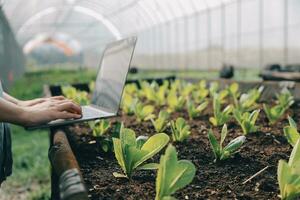 asiatisch Frau Farmer mit Digital Tablette im Gemüse Garten beim Gewächshaus, Geschäft Landwirtschaft Technologie Konzept, Qualität Clever Bauer. foto