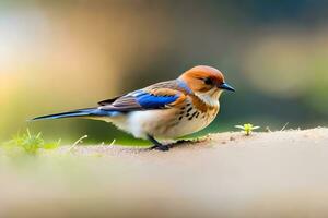 ai generiert ein klein Vogel mit ein Blau und Weiß Kopf foto