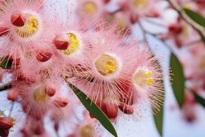 ai generiert schön Gummi Baum Rosa Blumen und Knospen. ai generiert foto