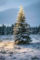 Kiefer Bäume oder dekoriert Weihnachten Baum bedeckt durch Schnee auf schön Winter. Weihnachten Thema draußen durch ai generiert foto