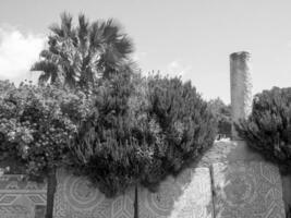 die Stadt Tunis in Tunesien foto