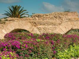 tunis Stadt im Tunesien foto