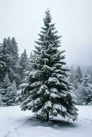 Kiefer Bäume oder dekoriert Weihnachten Baum bedeckt durch Schnee auf schön Winter. Weihnachten Thema draußen durch ai generiert foto
