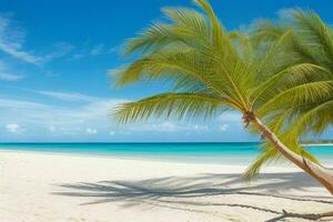 ai generiert Palme Wedel auf sandig Strand. Profi Foto