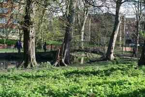 Krieg Öffentlichkeit Park von Luton Stadt, Dorf von England während kalt und sonnig Tag von April 7., 2023 foto