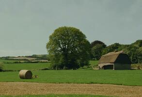 ai generiert Gelassenheit im das Englisch Landschaft ein Blick in ländlich Bauernhof Leben foto
