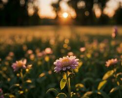 ai generiert Blumen blühen im das Morgen foto