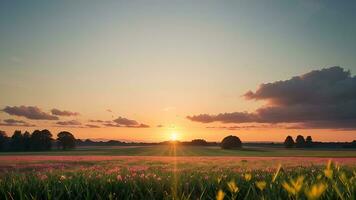 ai generiert schön natürlich Landschaft. Sonnenaufgang auf Wiese foto