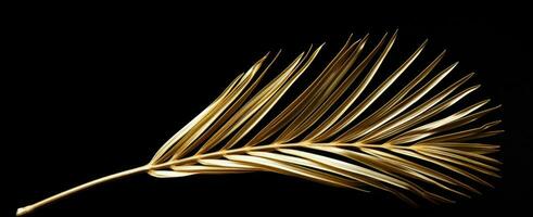 ai generiert ein Gold Palme Blatt ist gesehen gegen ein schwarz Hintergrund foto