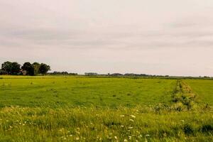 szenisch ländlich Aussicht foto