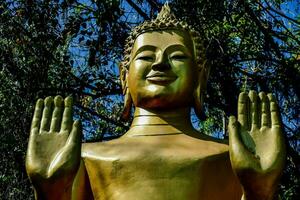 ein golden Buddha Statue im das Urwald foto