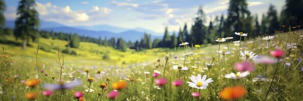 ai generiert idyllisch Wiese auf Sommer. ai generiert foto