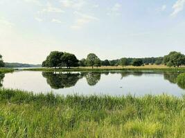 ein Aussicht von das Cheshire Landschaft im das Sommer- in der Nähe von Knutsford foto