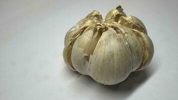 Knoblauch Nelke isoliert. Knoblauch Nelken einstellen auf Weiß Hintergrund. ungeschält Weiß Knoblauch Nelken Sammlung. mit Ausschnitt Weg. voll Tiefe von Feld. foto