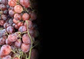 schließen oben von roh organisch Süss rot Trauben Hintergrund, Wein Trauben Textur, gesund Früchte rot Wein Trauben Hintergrund, oben Aussicht foto